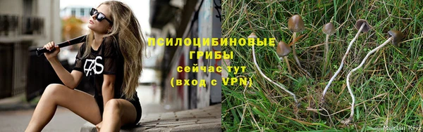 apvp Абдулино